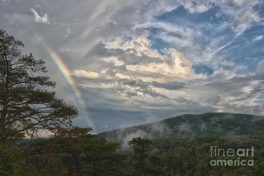 Chasing Rainbows Photograph by Jeannette Hunt