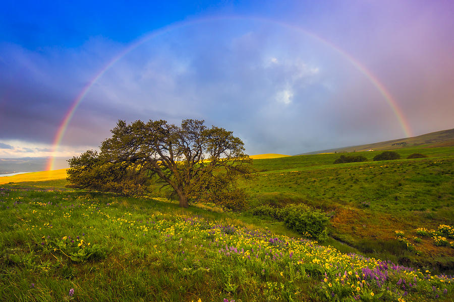 Spring Photograph - Chasing Rainbows by Joseph Rossbach