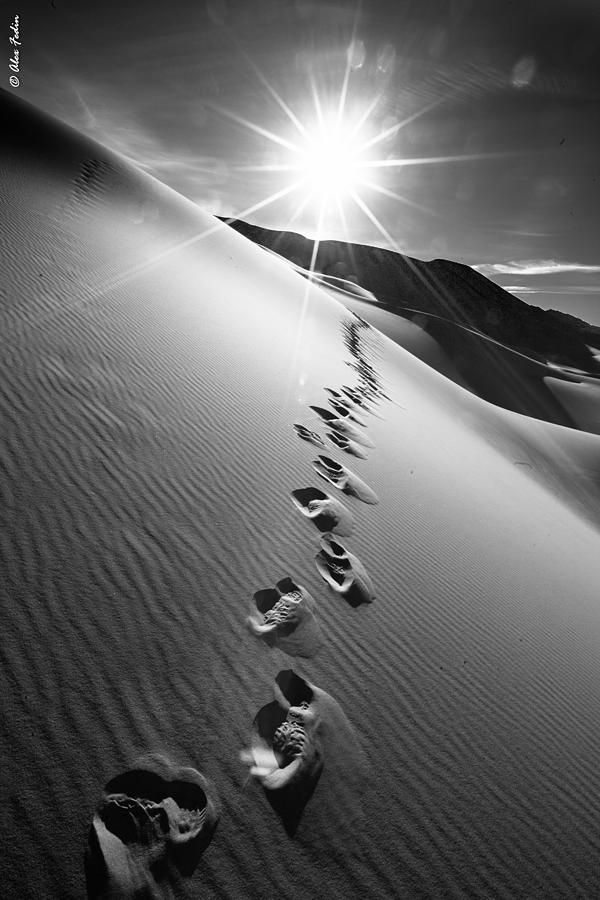 Chasing Sun Photograph by Alexander Fedin