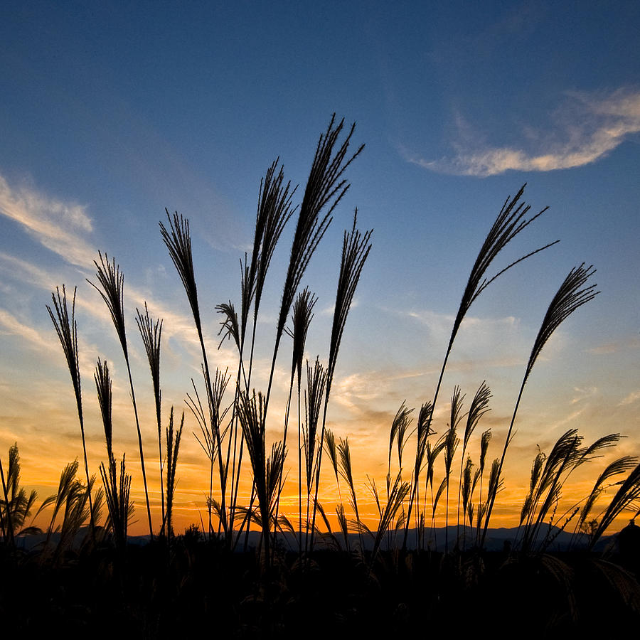 Chasing the Light Photograph by Walter Arnold - Fine Art America