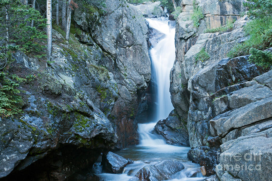 Chasm Falls Fall River in Rocky Mountain National Park Photograph by Fred Stearns
