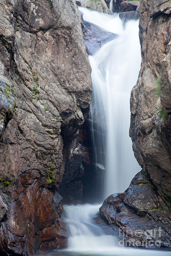 Chasm Fallsfall River In Rocky Mountain National Park Photograph