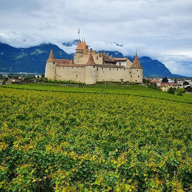 Nature Photograph - #chateau #aigle #beautiful #countryside by Mike Fletcher