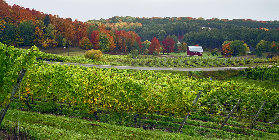 Traverse City Photograph - Chateau Chantal in Autumn 2014 by Kris Rasmusson