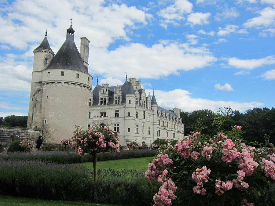 Chateau Chenonceau Photograph by Pema Hou