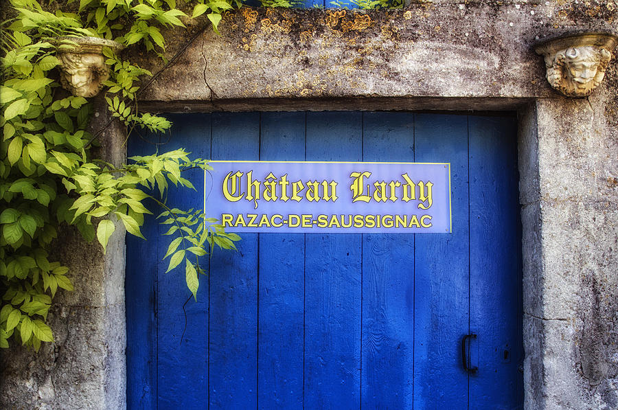 Chateau Lardy Photograph by Georgia Clare