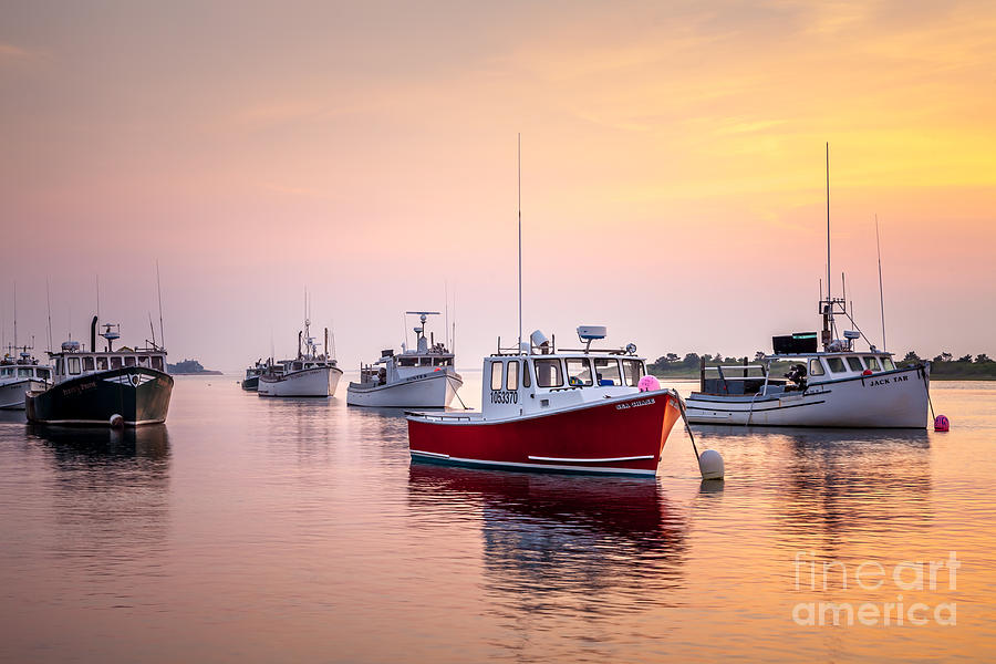 Chatham Harbor Fishing Fleet Photograph by Susan Cole Kelly