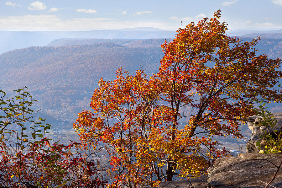 Chattanooga in Autumn Photograph by Melinda Fawver