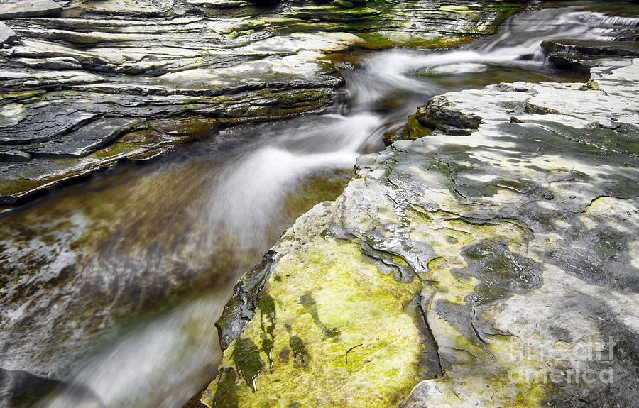 Chautauqua Creek Photograph by Charline Xia