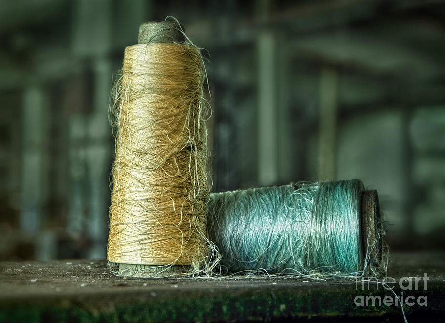 Silk Photograph - Cheap Threads by Claudia Kuhn