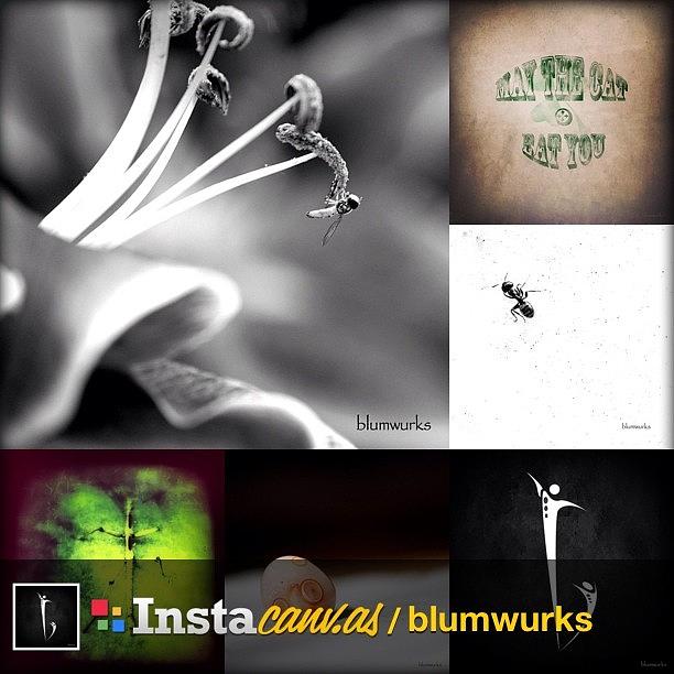 Check Out My Instacanvas Gallery : Photograph by Matthew Blum