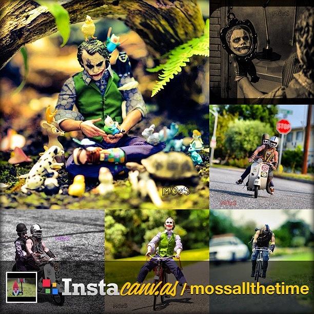 Check Out My Instacanvas Gallery : Photograph by Timmy Yang