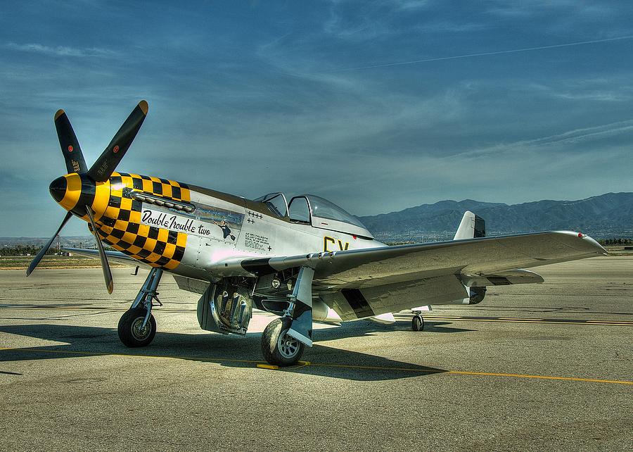 Checker Nose Warrior Photograph by Jeff Cook