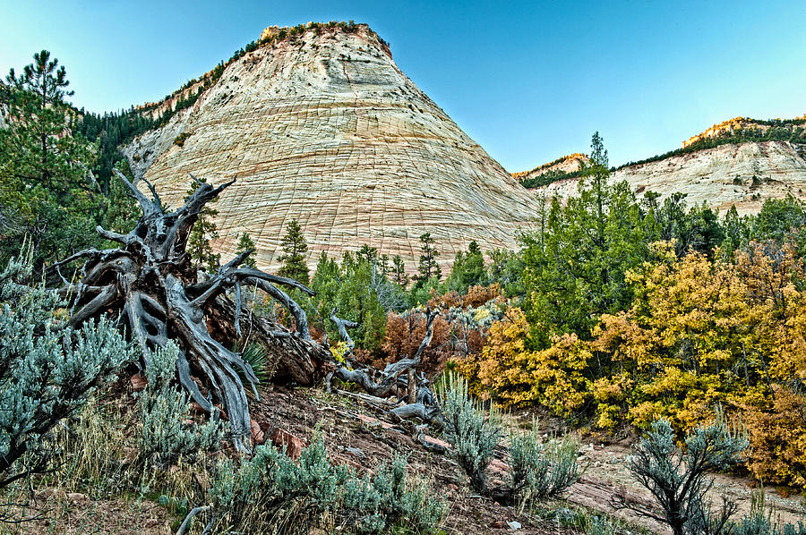 Checkerboard Mesa  Photograph by George Buxbaum