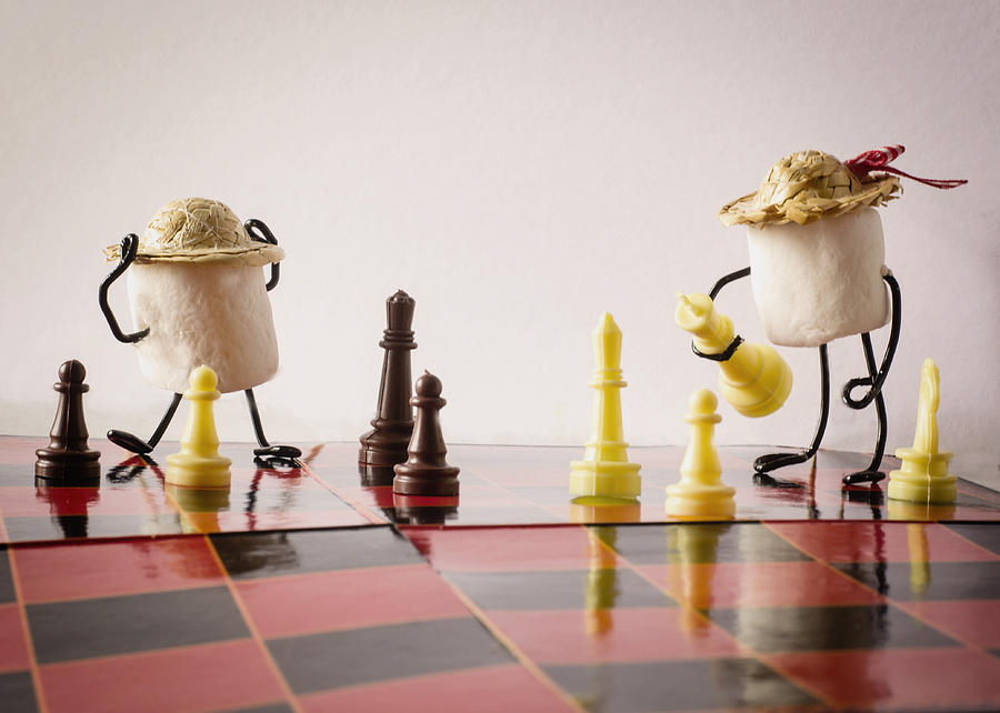 Chess Photograph - Checkmate Mallow by Heather Applegate