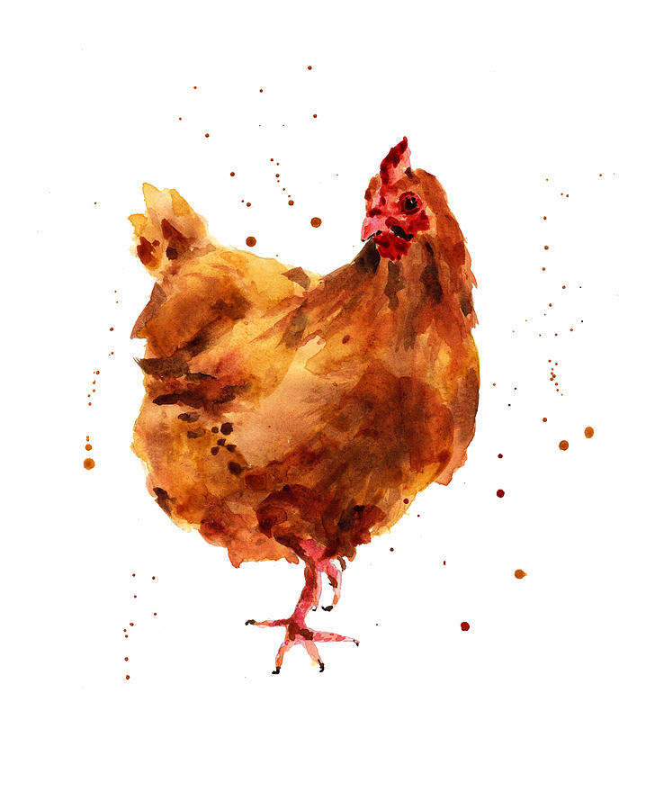 Animal Watercolor Painting - Cheeky Chicken by Alison Fennell