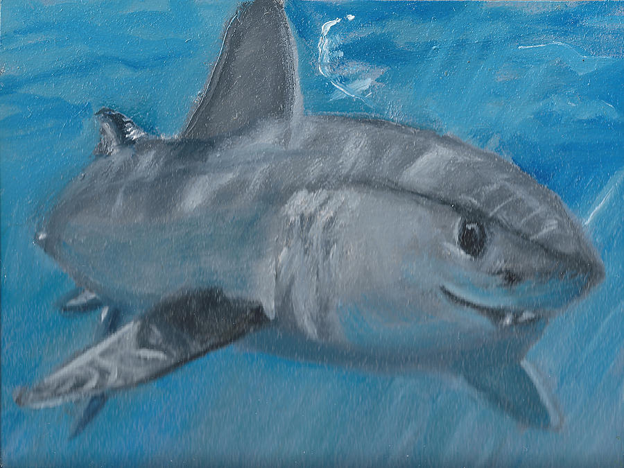 Cheeky Shark Painting by Jessmyne Stephenson