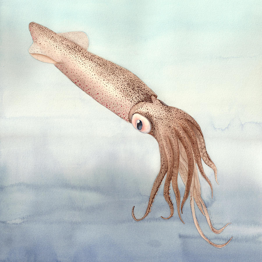 Nature Painting - Cheerful Squid by Elizabeth Smith