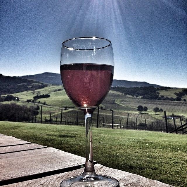 Wine Photograph - Cheers! #rose #wine #sunshine #country by Pix Jax