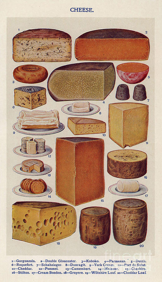 Book Drawing - Cheese 1900s Uk Isabella Beeton  Mrs by The Advertising Archives