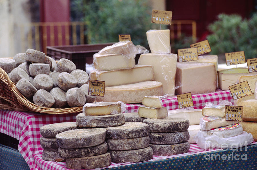 Cheese from Provence France Photograph by Craig Lovell