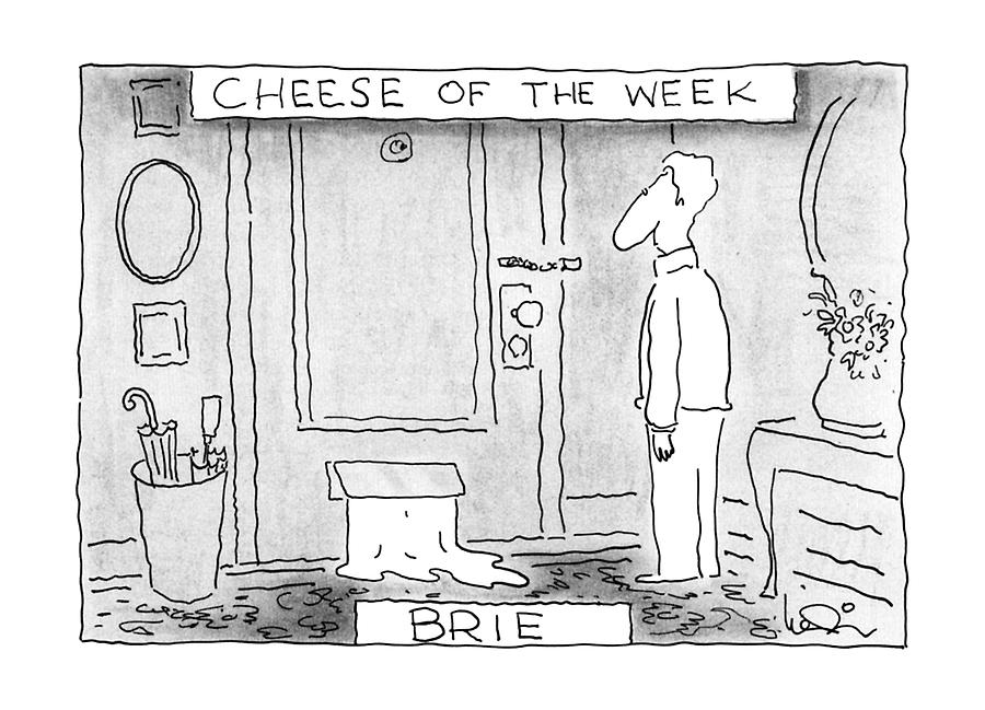 Cheese Of The Week - Brie Drawing by Arnie Levin