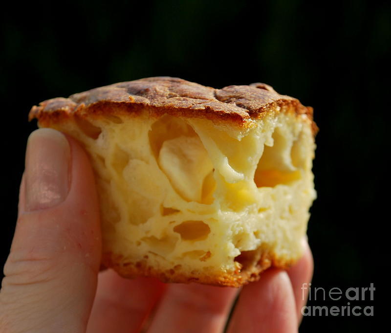 Food Photograph - Cheese pie by Marija Djedovic