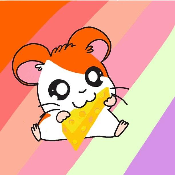 Draw Photograph - #cheeseds #hamsterds #hamtaro by Michelle Cronin