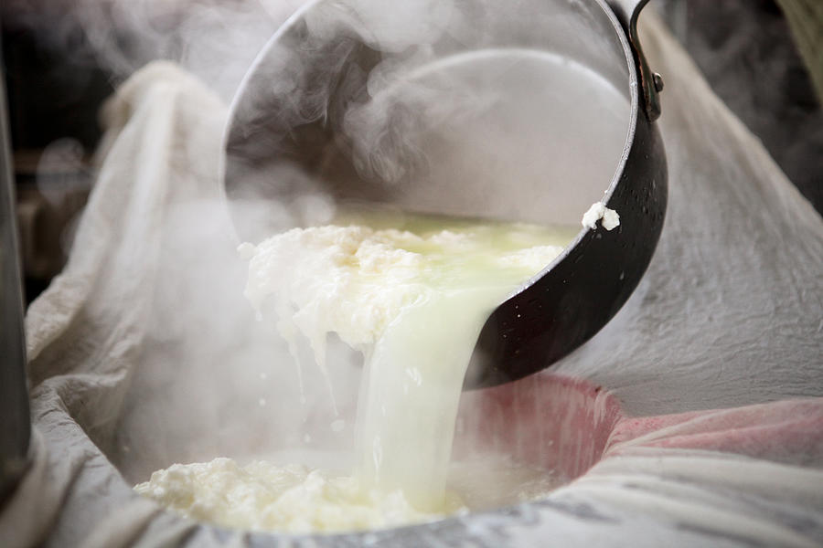 Cheesemaking Photograph by Kelley DeBettencourt