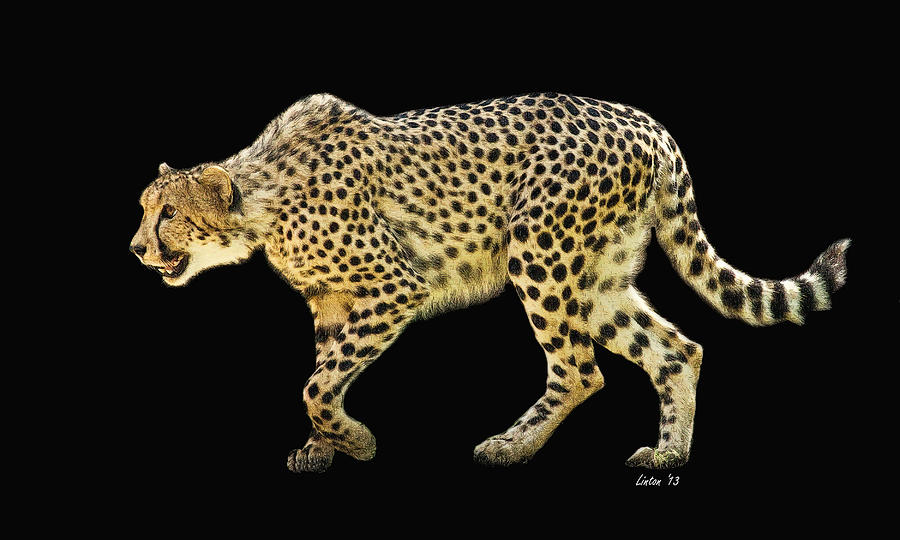 Cheetah 3 Digital Art by Larry Linton