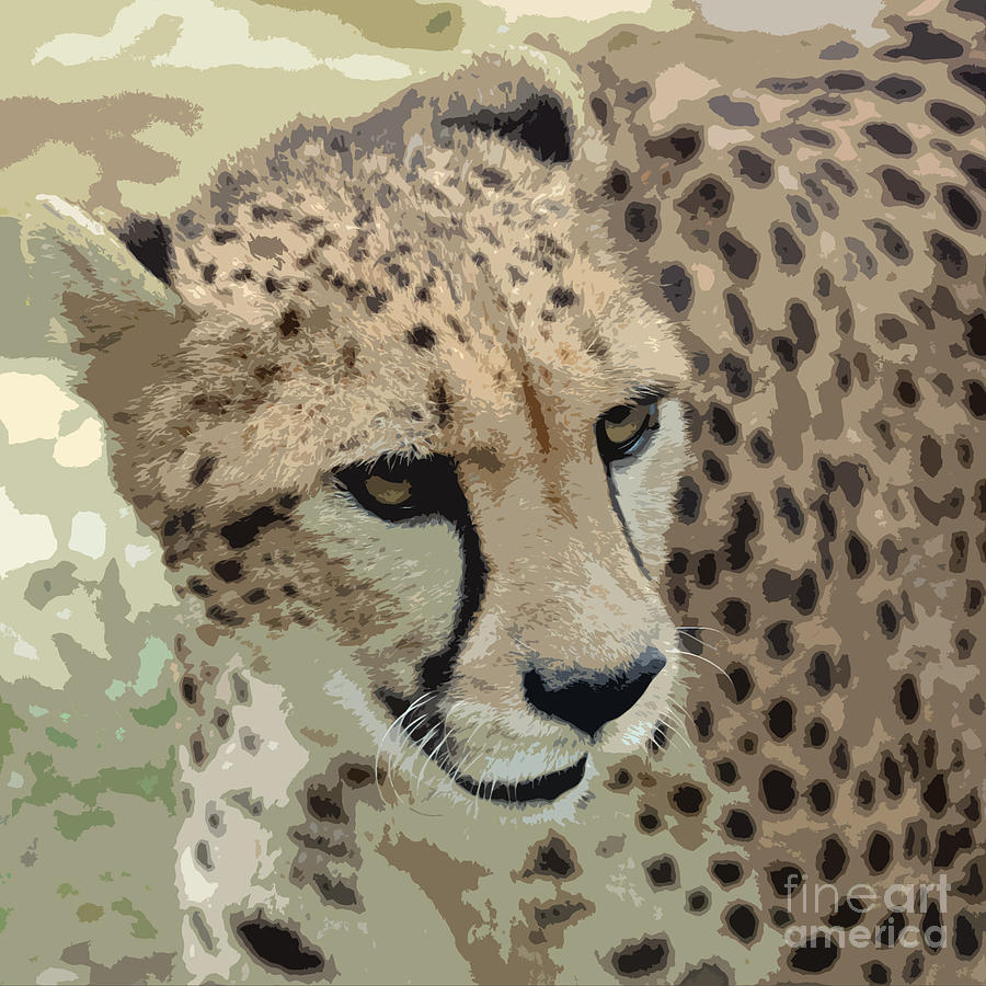 Cheetah 3 Quarters Macro Profile Cutout Digital Art Square Format Digital Art by Shawn OBrien