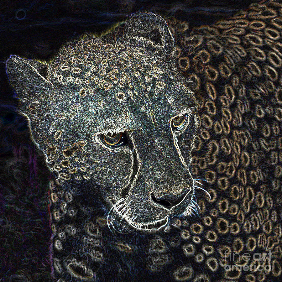 Cheetah Digital Art - Cheetah 3 Quarters Macro Profile Glowing Edges Digital Art Square Format by Shawn OBrien