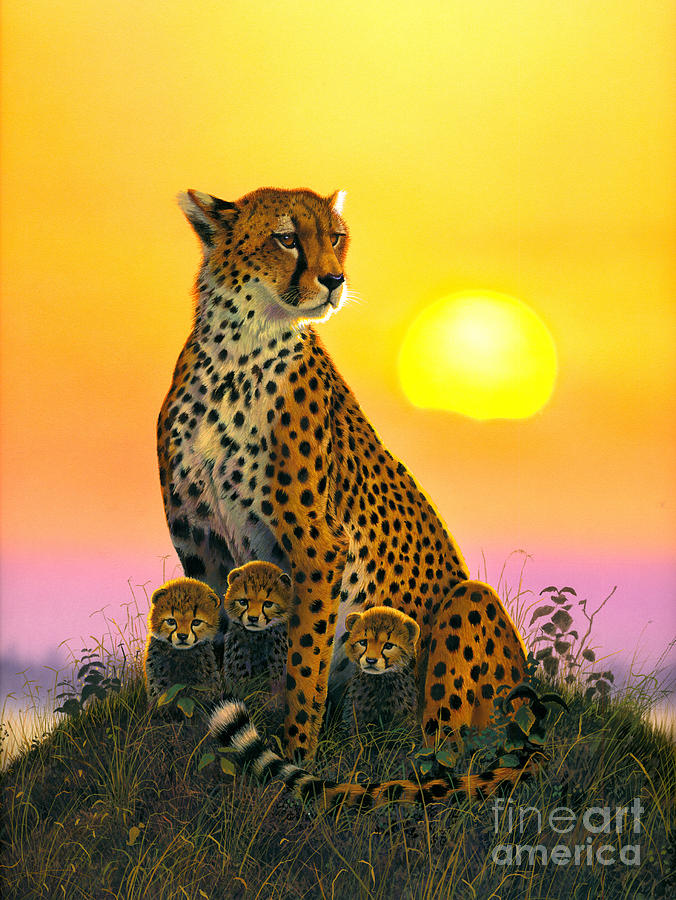 Sunset Photograph - Cheetah And Cubs by MGL Meiklejohn Graphics Licensing