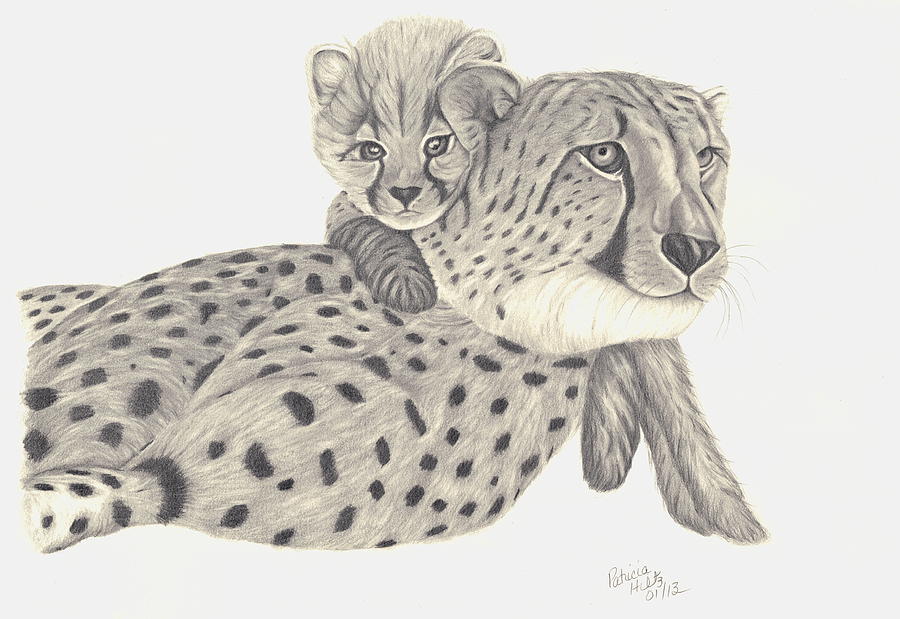 Cheetah and her cub 1 Drawing by Patricia Hiltz