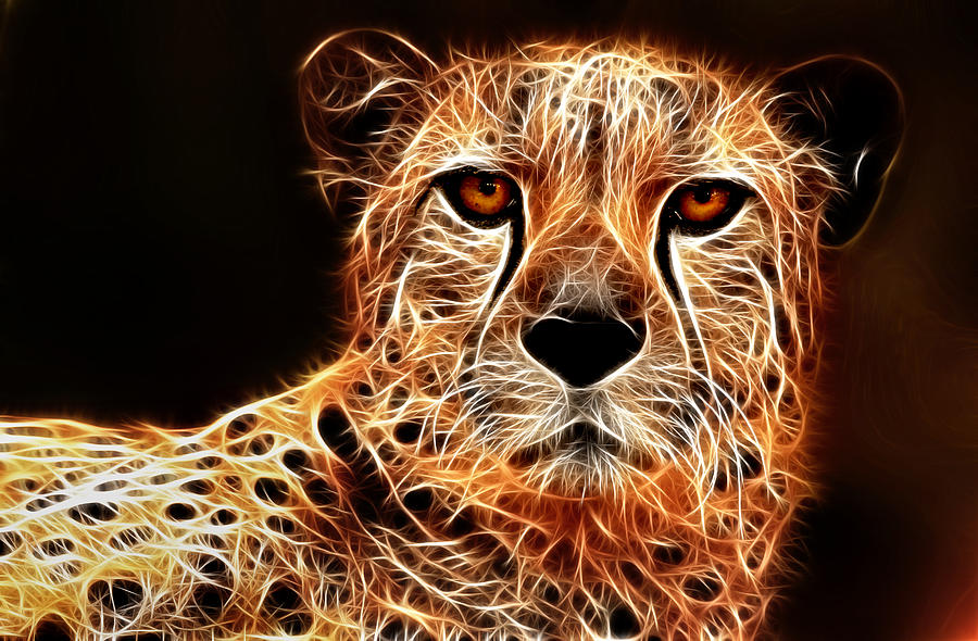 Cheetah Artwork Photograph By Don Johnson - Fine Art America