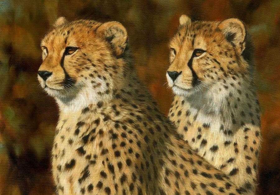 Cheetah Brothers Painting by David Stribbling