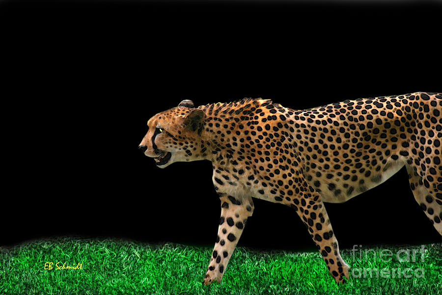 Cheetah on the Prowl Digital Art by E B Schmidt