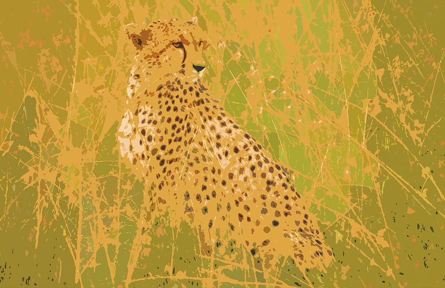 Cheetah Digital Art - Cheetah by Ronald Jansen
