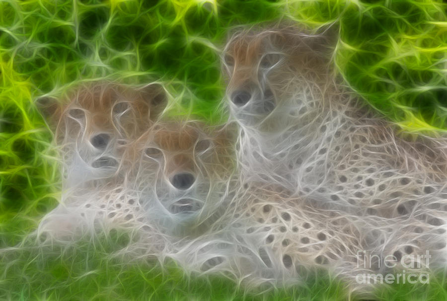 Cheetah Photograph - Cheetahs-6325-Fractal by Gary Gingrich Galleries