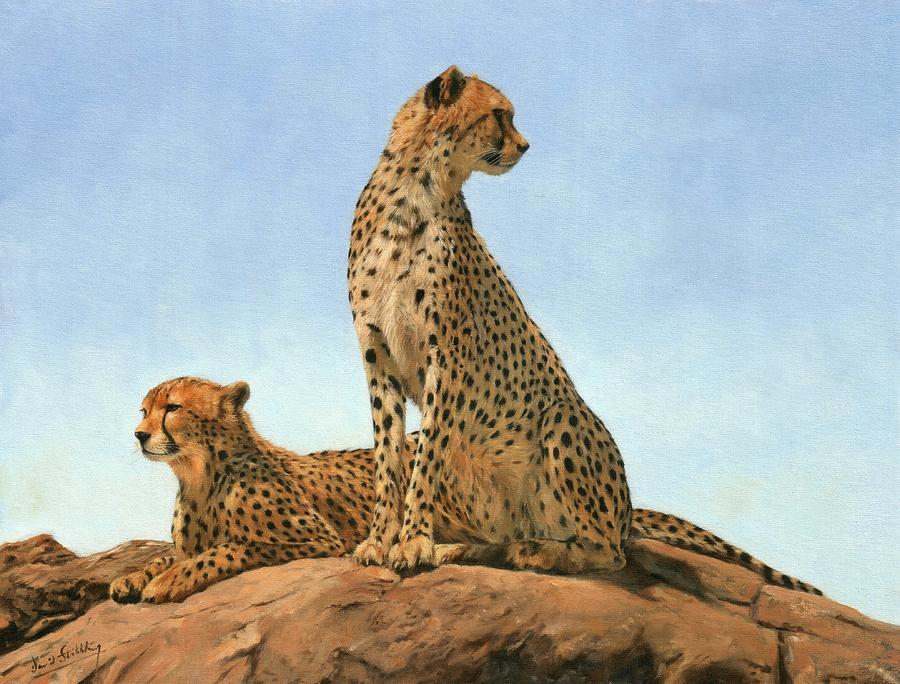 Cheetahs Painting by David Stribbling