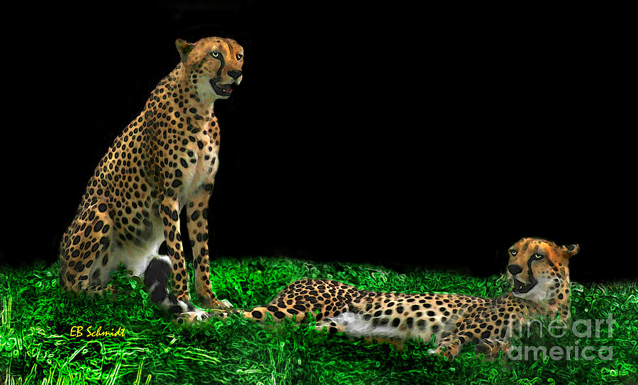 Cheetahs Digital Art by E B Schmidt