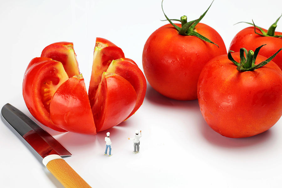 Tomato Photograph - Chefs chopping tomatoes little people big worlds by Paul Ge