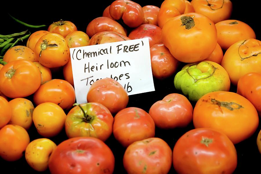Chemical-free Tomatoes Photograph by Science Photo Library Chemical-free Tomatoes Photograph by Science Photo Library