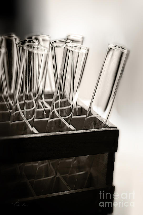 Chemistry test tubes Photograph by Danuta Bennett