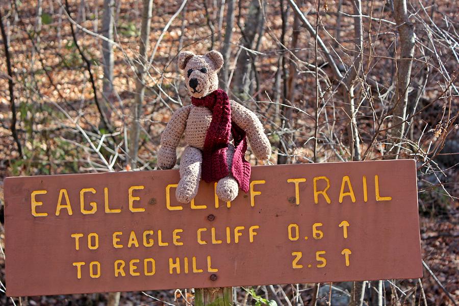 Chemo Eagle Cliff Sign Photograph by Wayne Toutaint