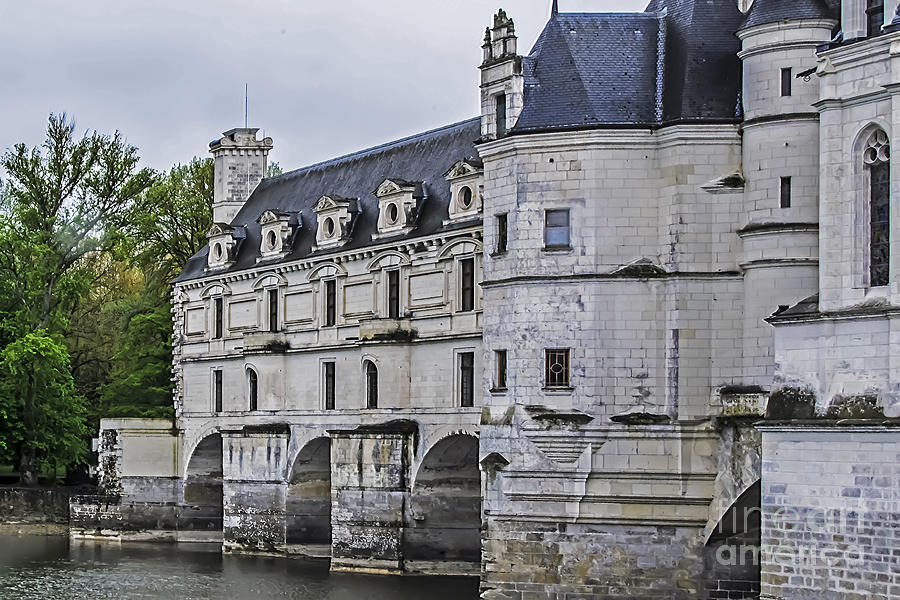 Tree Photograph - Chenonceau and River Cher by Elvis Vaughn