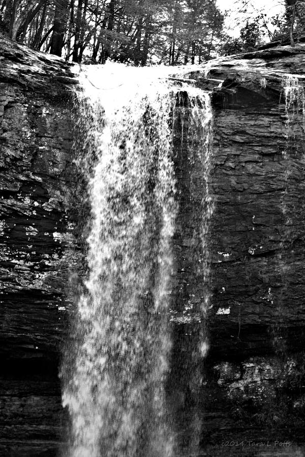 Cherokee Falls in Monochrome Photograph by Tara Potts