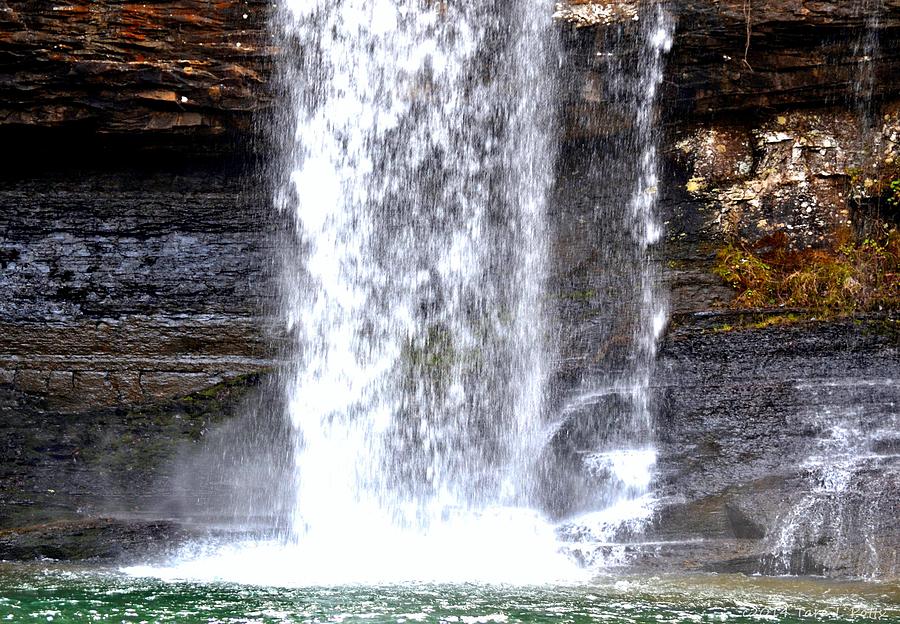 Nature Photograph - Cherokee Falls by Tara Potts