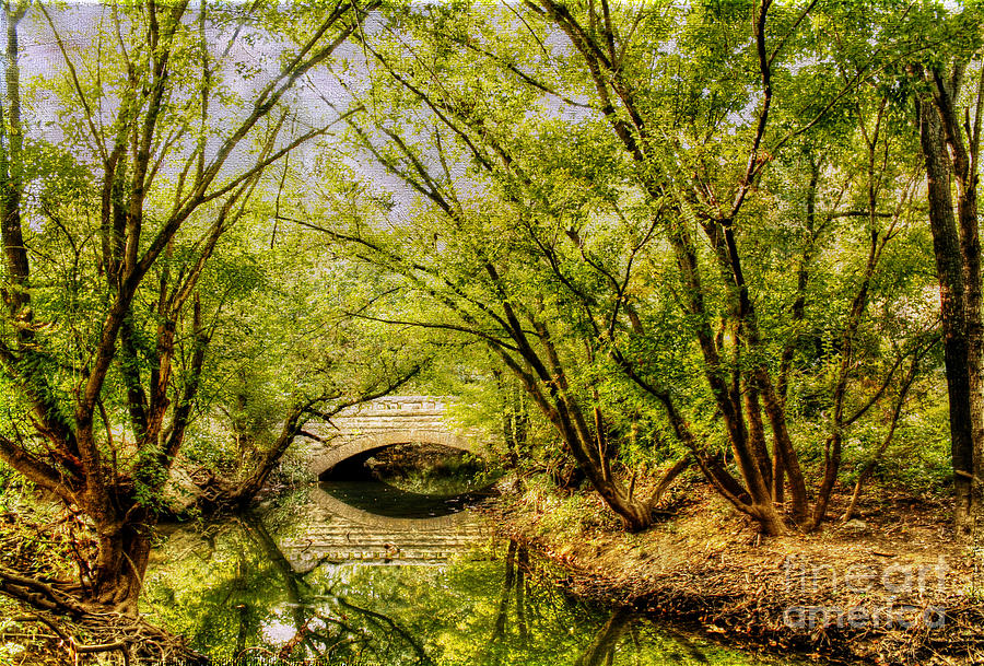 Nature Photograph - Cherokee Park by Darren Fisher