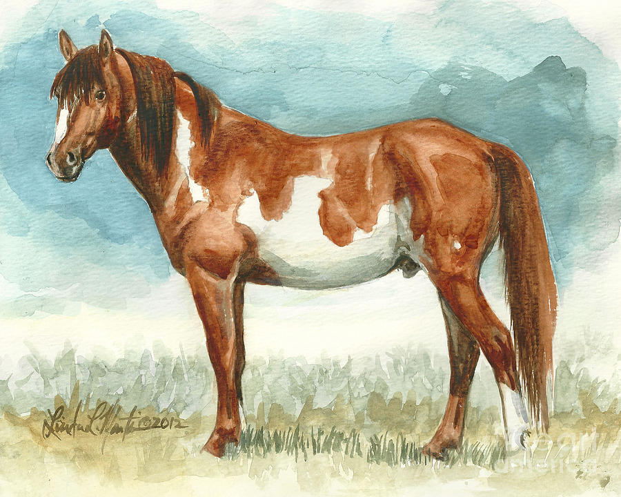 Cherokee Wild Stallion of Sand Wash Basin Painting by Linda L Martin